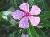 b3f41aa03a1e5af6bb4358fe5018cfb0.jpeg, 1 KB